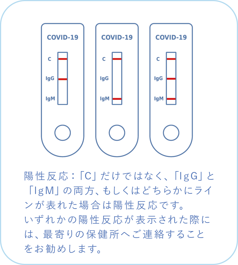 陽性反応:「C」だけでなく、「IgG」と「IgM」の両方、もしくはどちらかにラインが表れた場合は陽性反応です。いずれかの陽性反応が表示された際には、保健所へご連絡することをお勧めします。